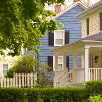 A large tree next to blue and yellow houses